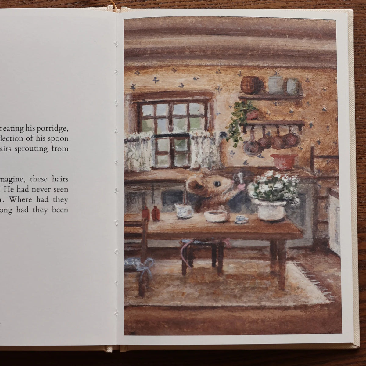 Mr Whiskers Finds His Whiskers | Hardcover Storybook