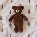 Soft Toy - Teddy Bear Storybook
