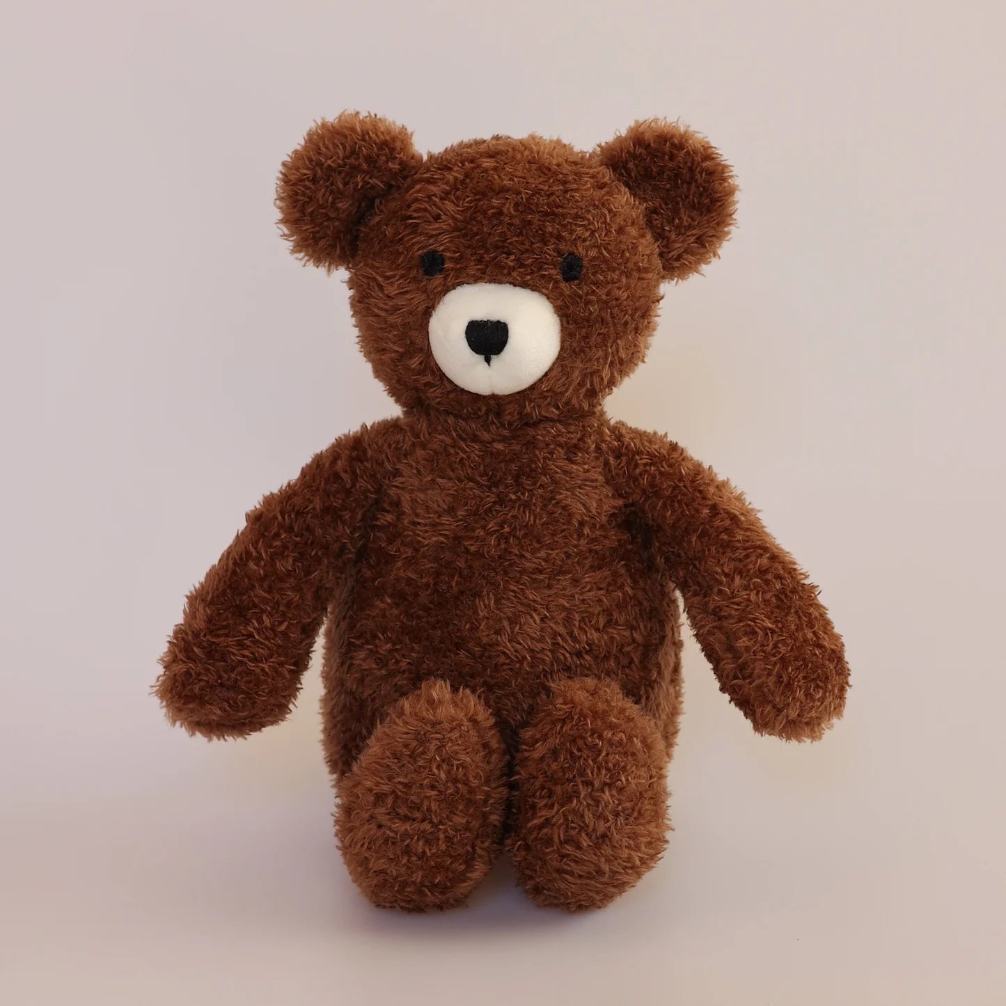 Soft Toy - Teddy Bear Storybook
