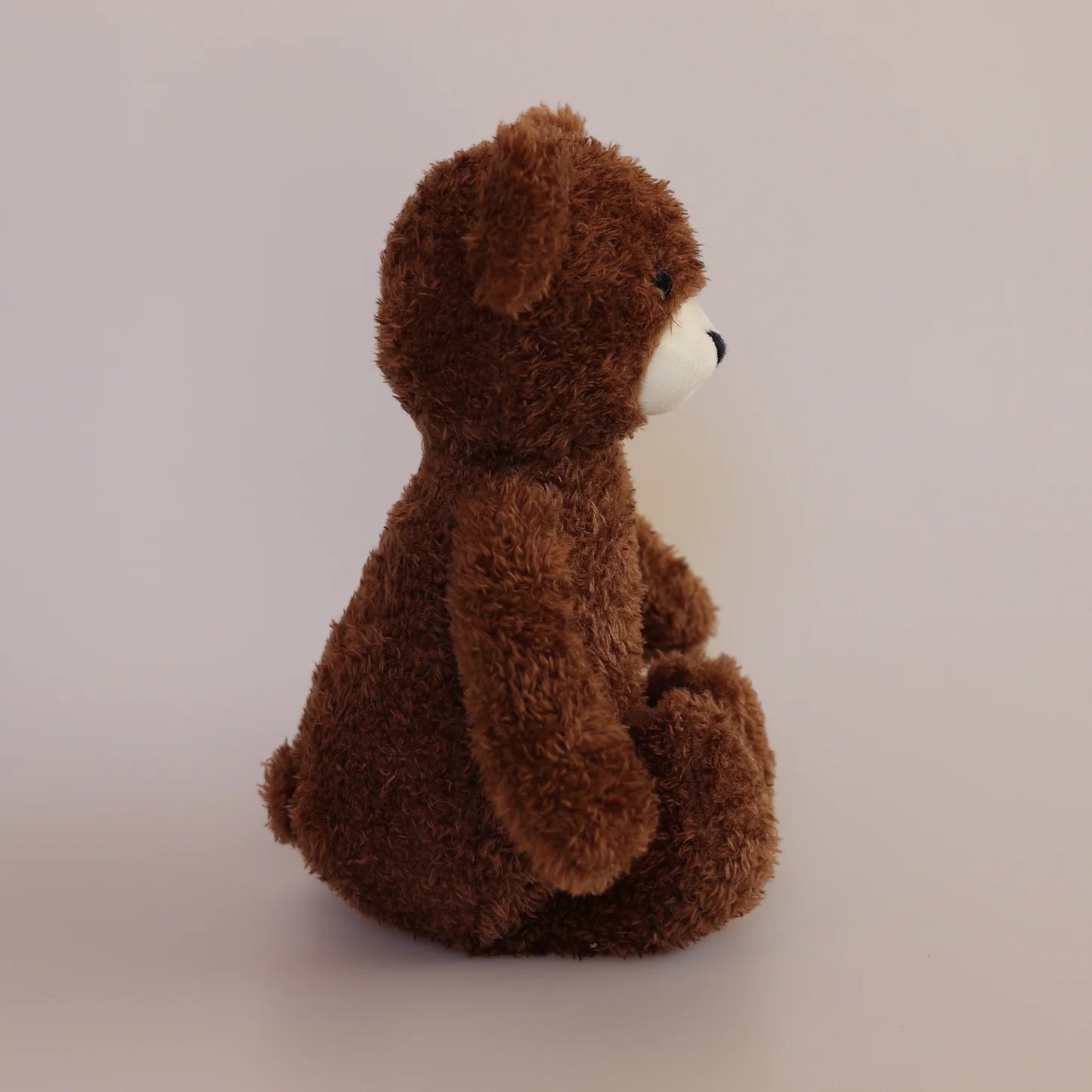 Soft Toy - Teddy Bear Storybook
