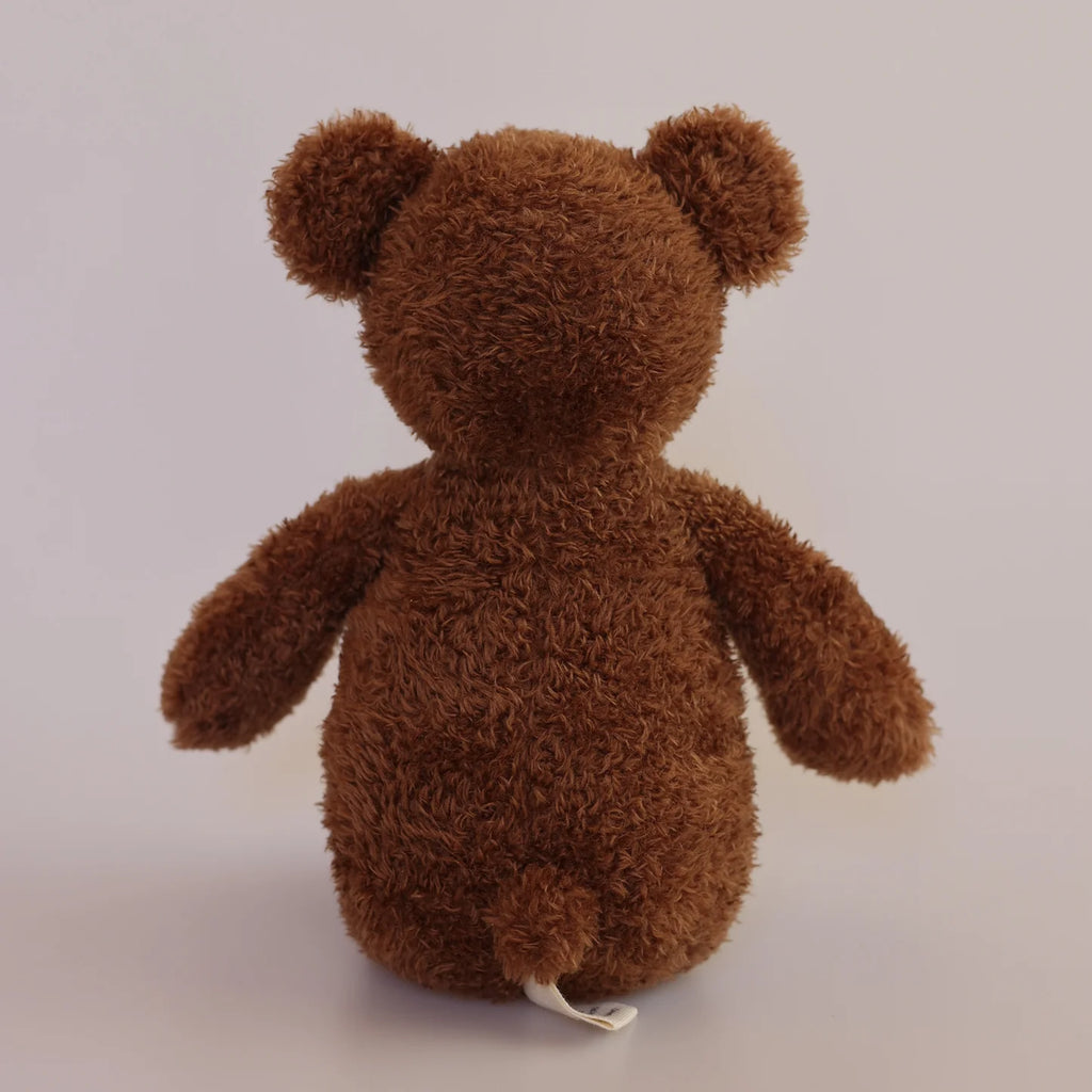Soft Toy - Teddy Bear Storybook