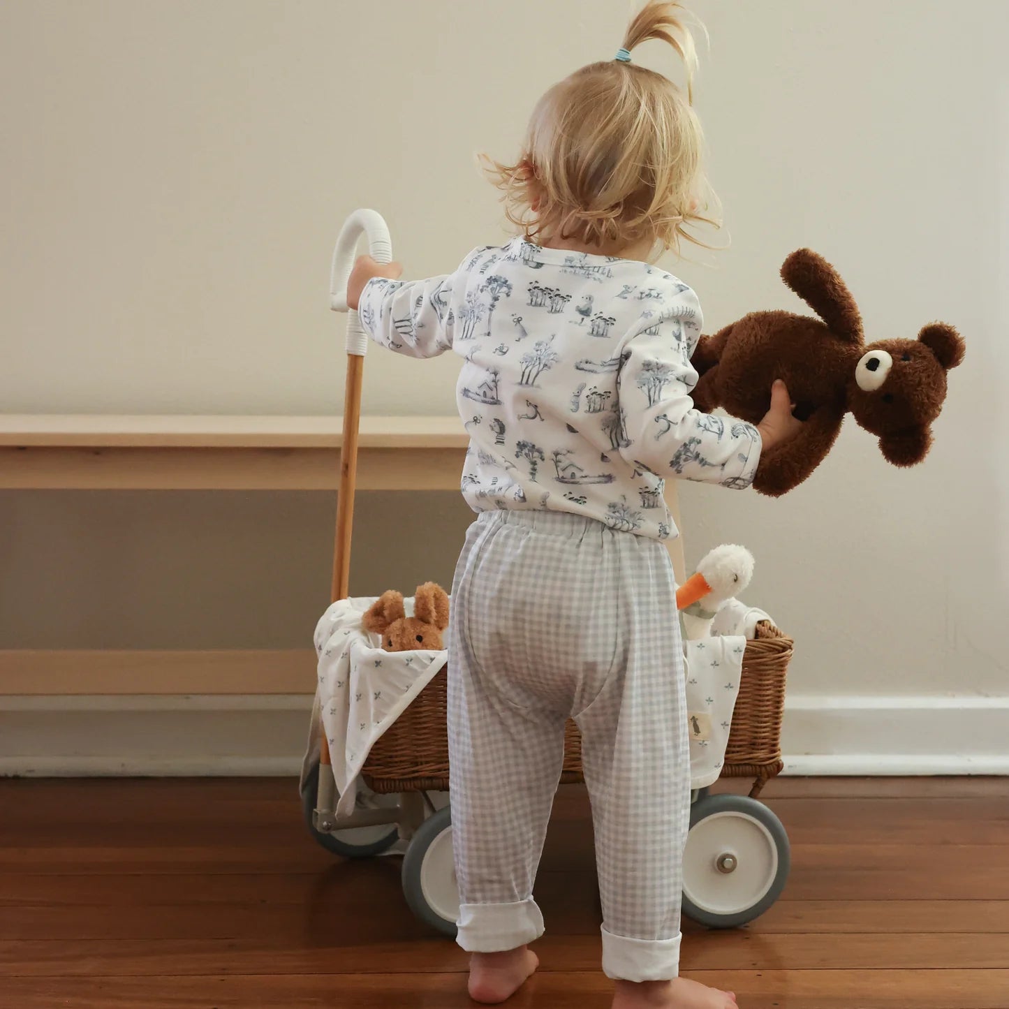 Soft Toy - Teddy Bear Storybook