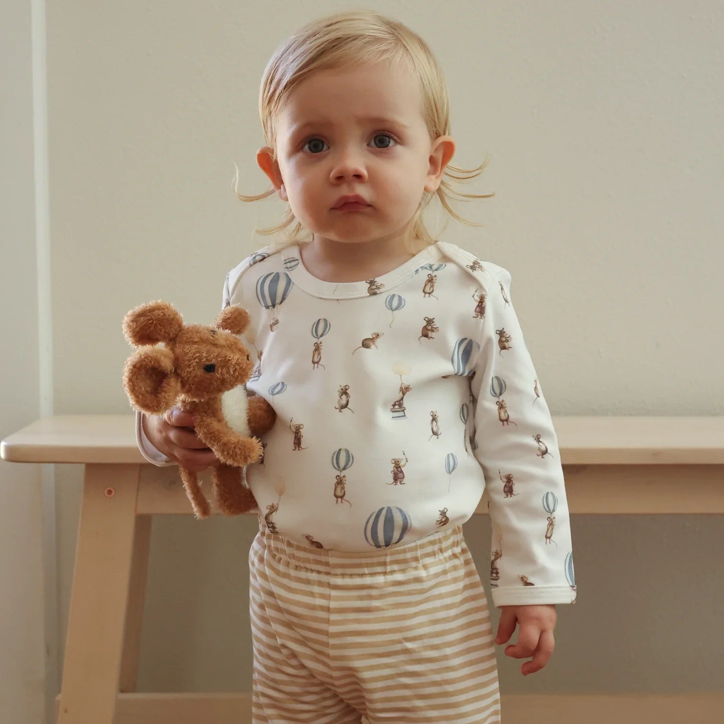 Soft Toy - Mouse Storybook