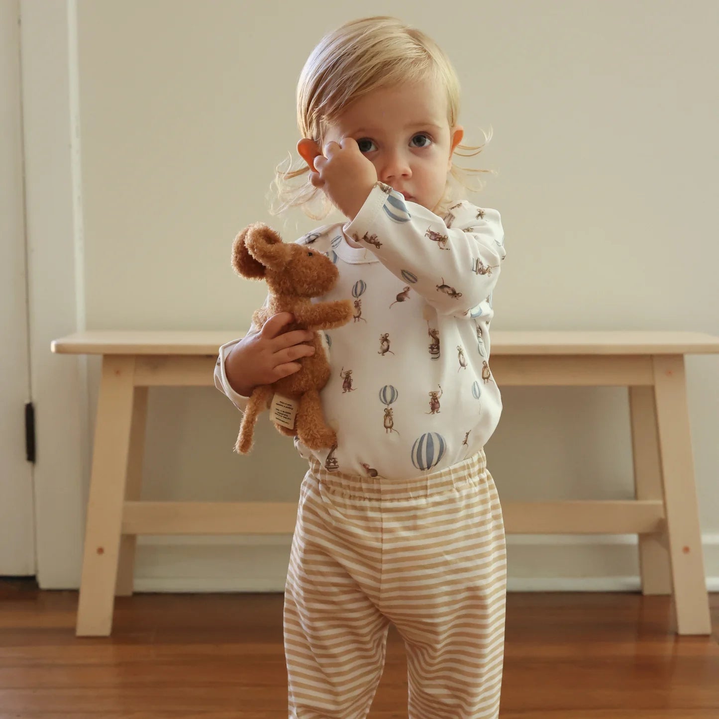 Soft Toy - Mouse Storybook