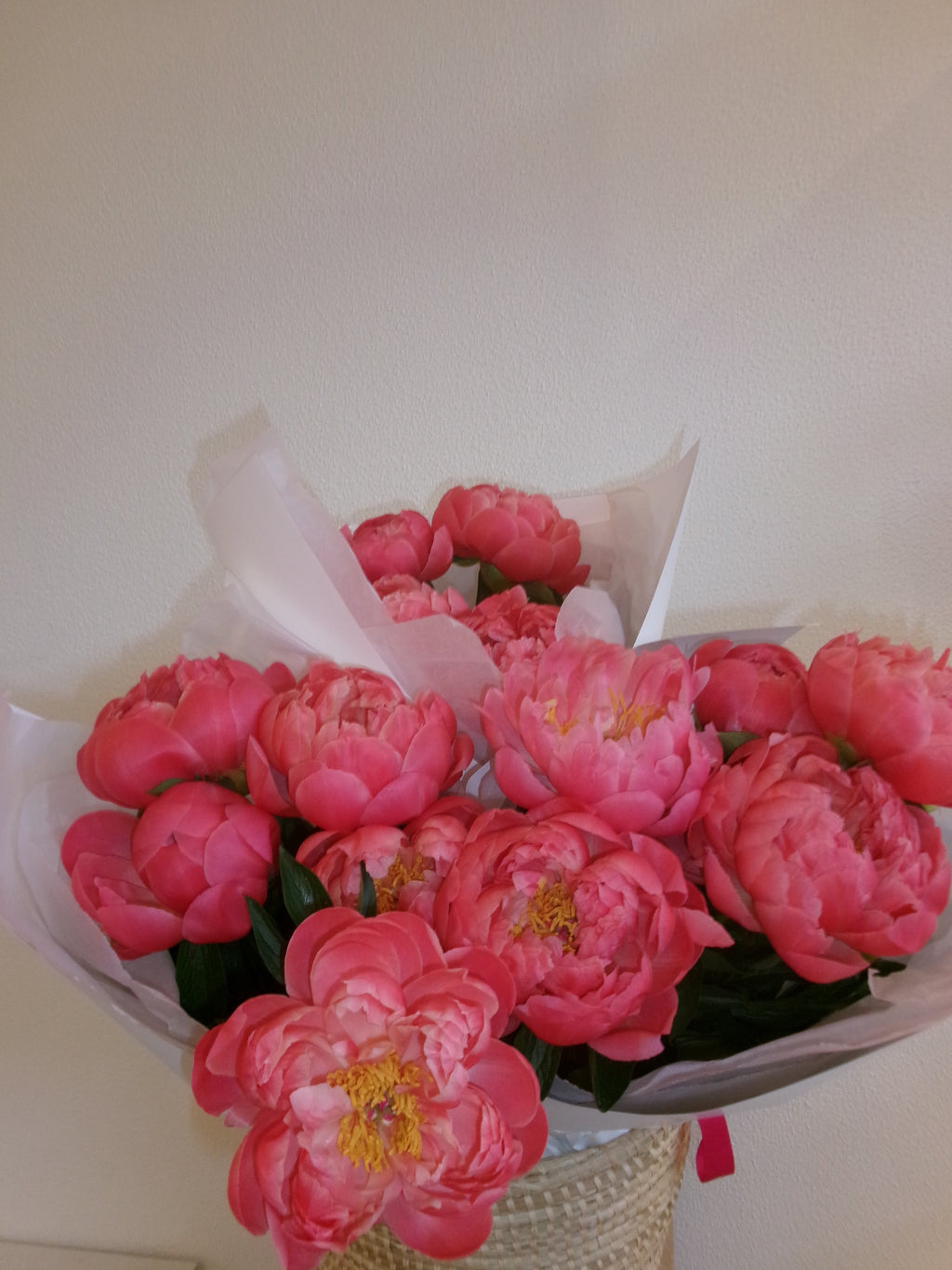 Peony CORAL CHARM | 5 stem Wrap