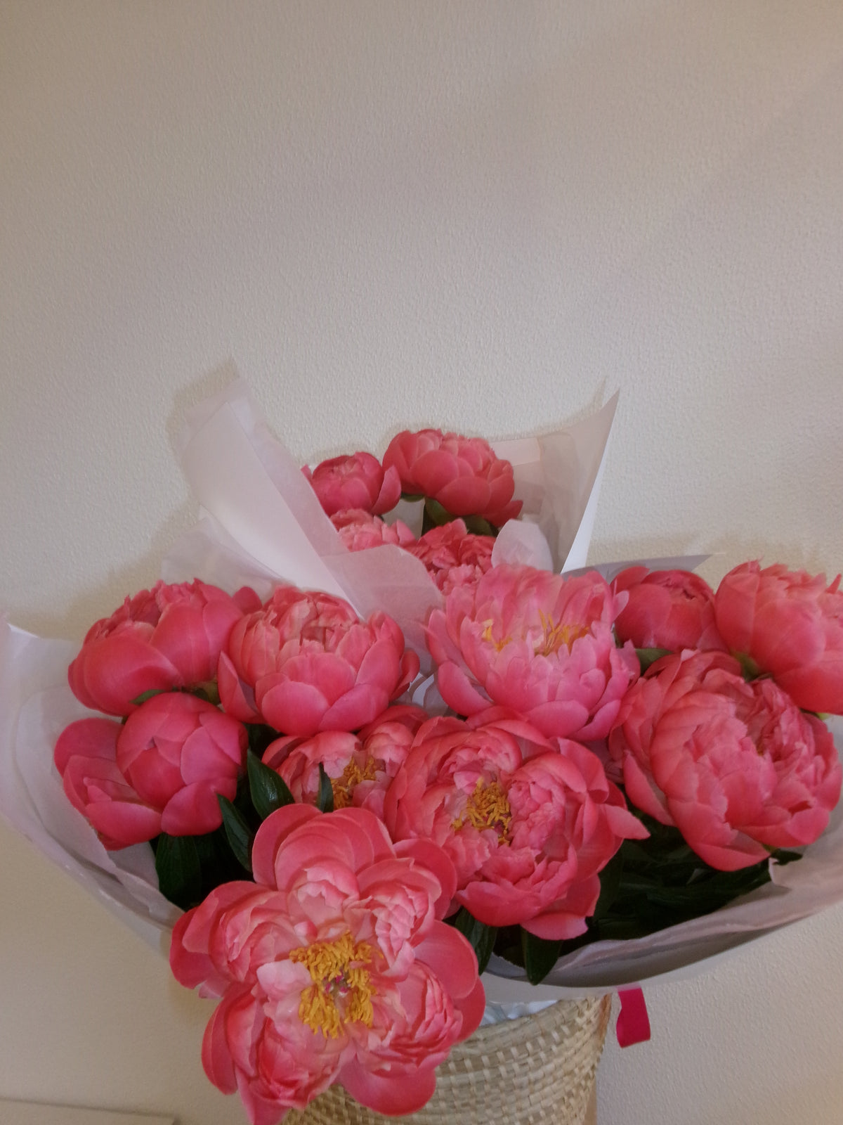 Peony CORAL CHARM | 5 stem Wrap