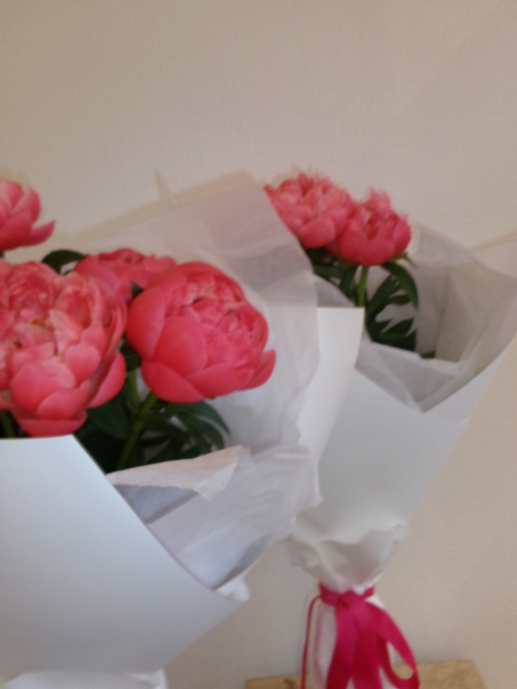 Peony CORAL CHARM | 5 stem Wrap