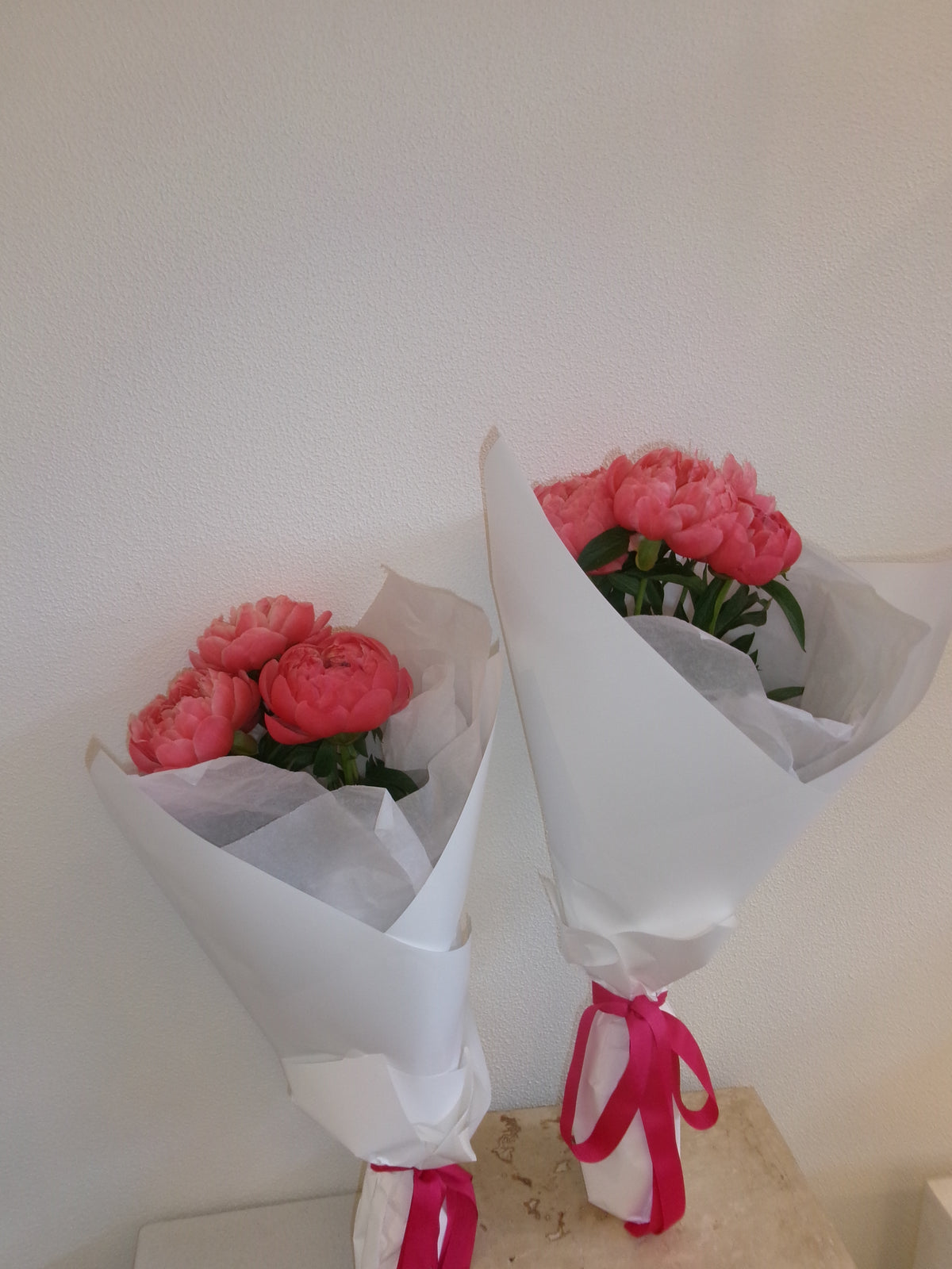 Peony CORAL CHARM | 5 stem Wrap
