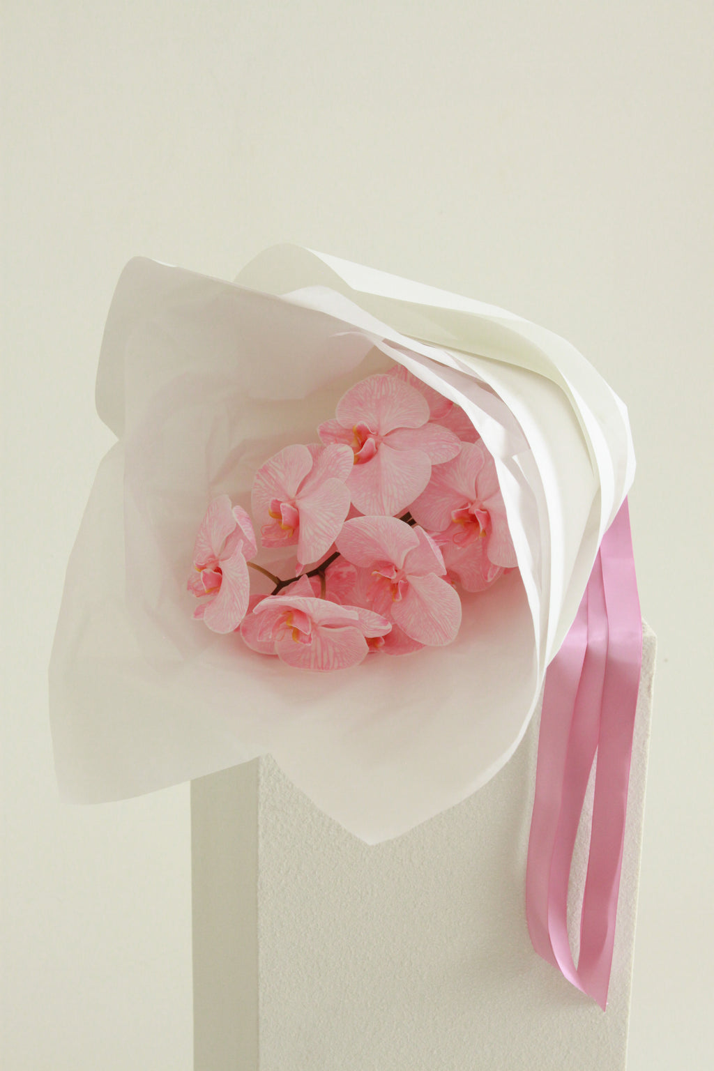 Phalaenopsis Orchid Cut Stem