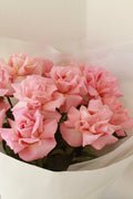 Pink Columbian Roses