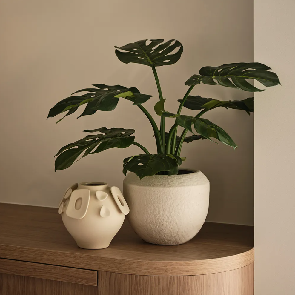 Takumi Pot