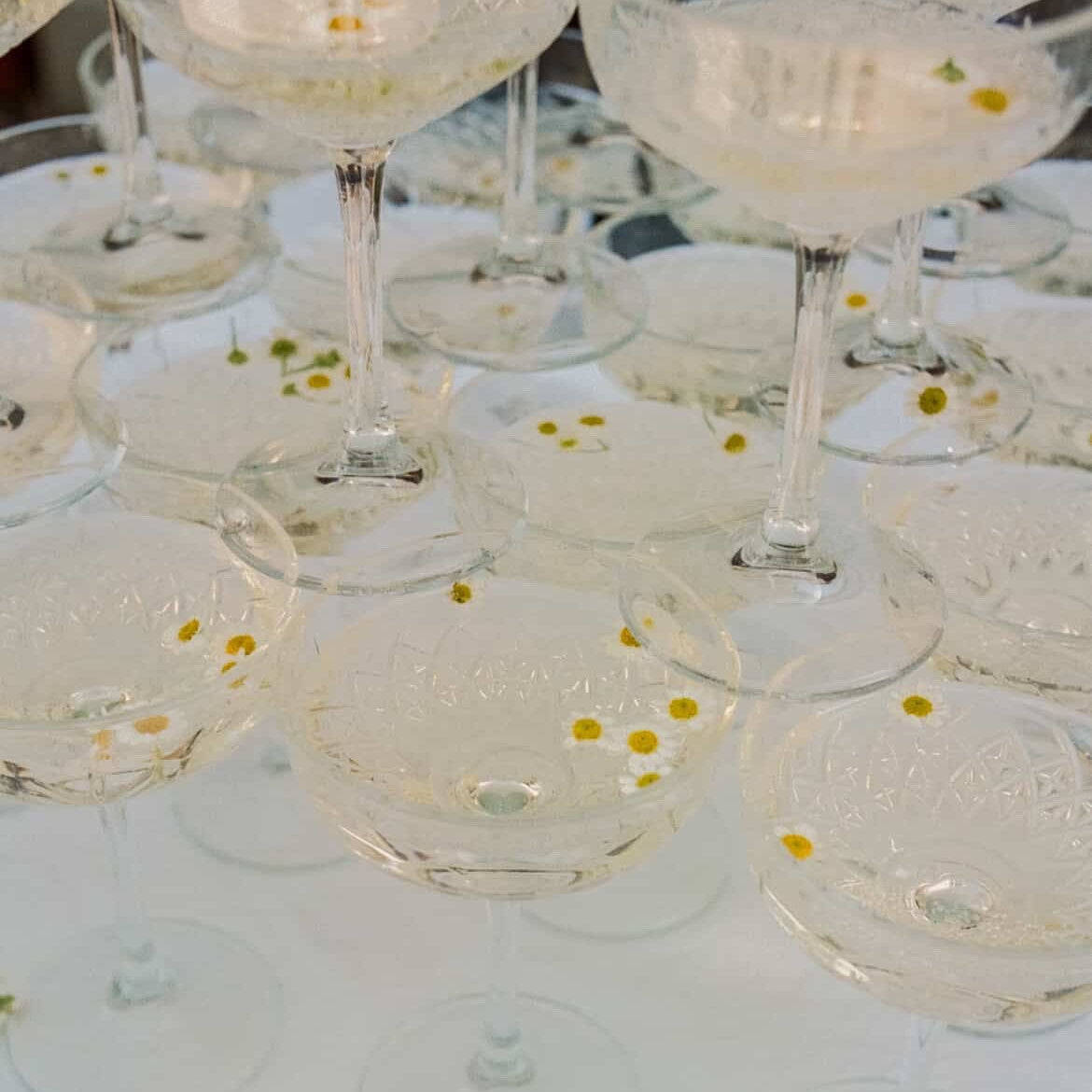 Champagne